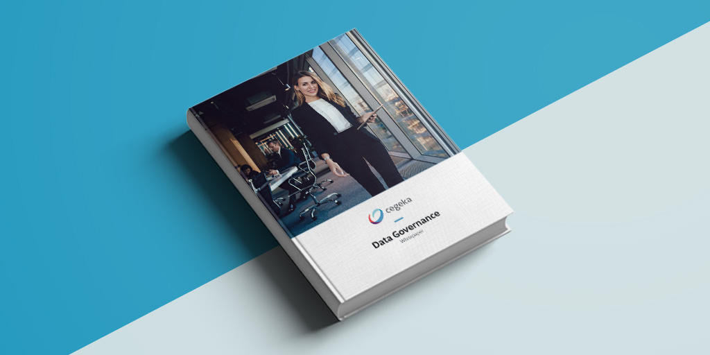 Whitepaper: Data Governance