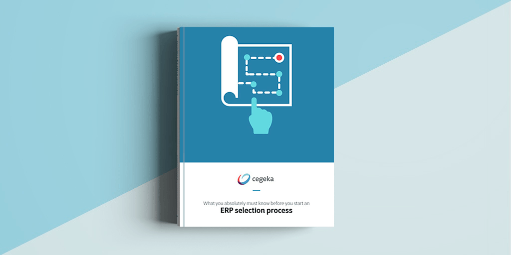 Ebook: ERP selection process