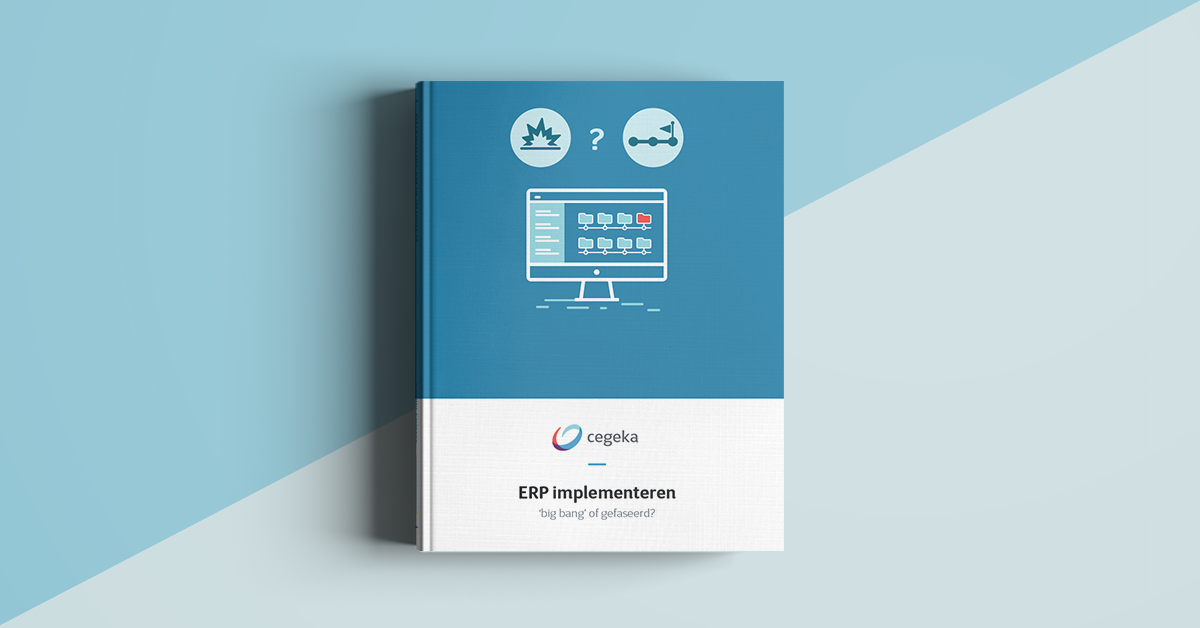 E-book: ERP Implementeren: big bang of in fases?