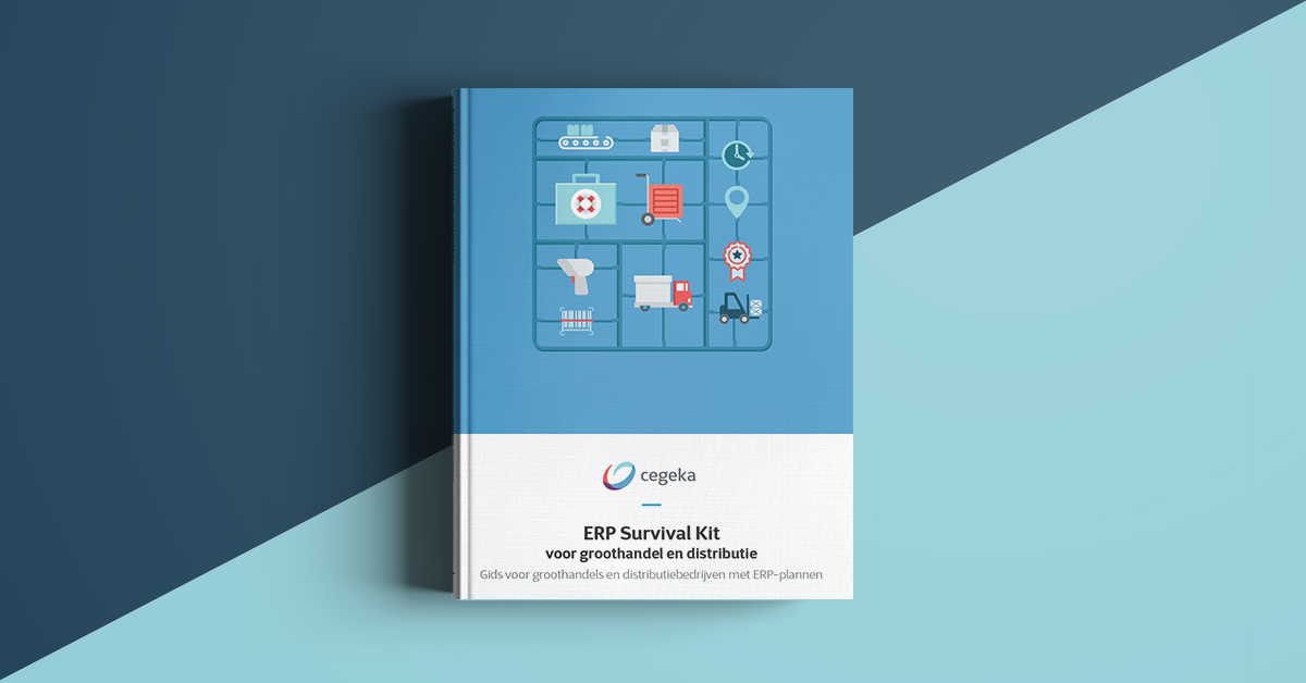 E-book: ERP Survival Kit voor groothandel en distributie