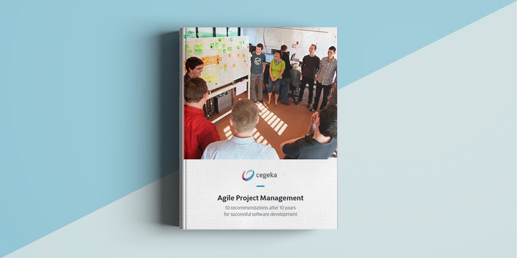 E-book: Agile Project Management