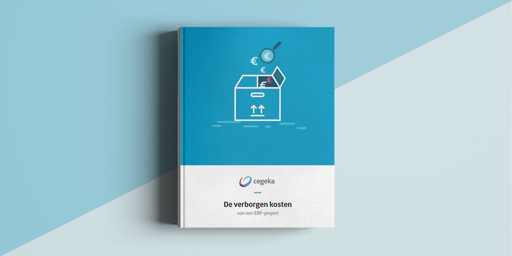 ERP: Verborgen kosten