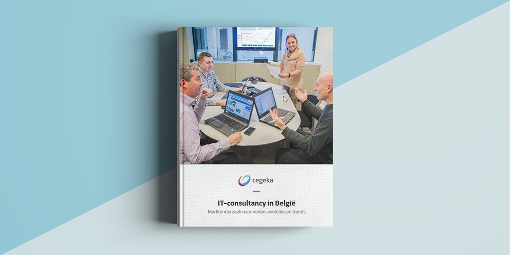 IT-consultancy in België