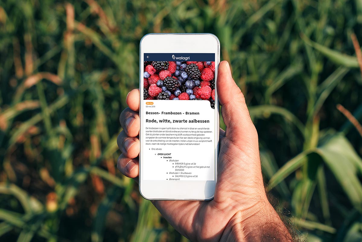 Cegeka Arvesta app