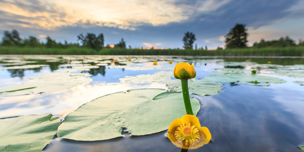 Natuurmonumenten verlengt IT-partnership met Cegeka