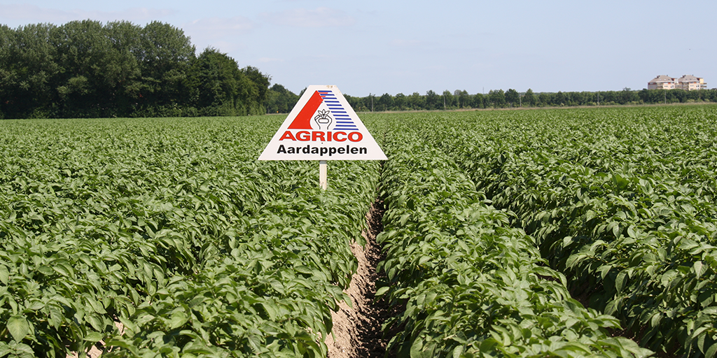 Agrico en Cegeka: voor een innovatieve en toekomstbestendige AGF-sector