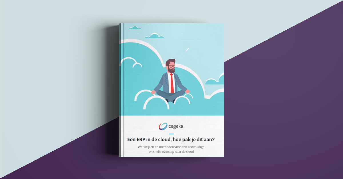 Mockup ERP in de cloud e-book