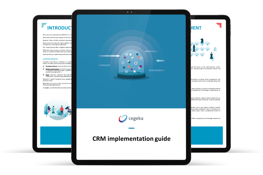 CRM-Implementation-Guide-Visual CRM-Implementation-Guide-Visual