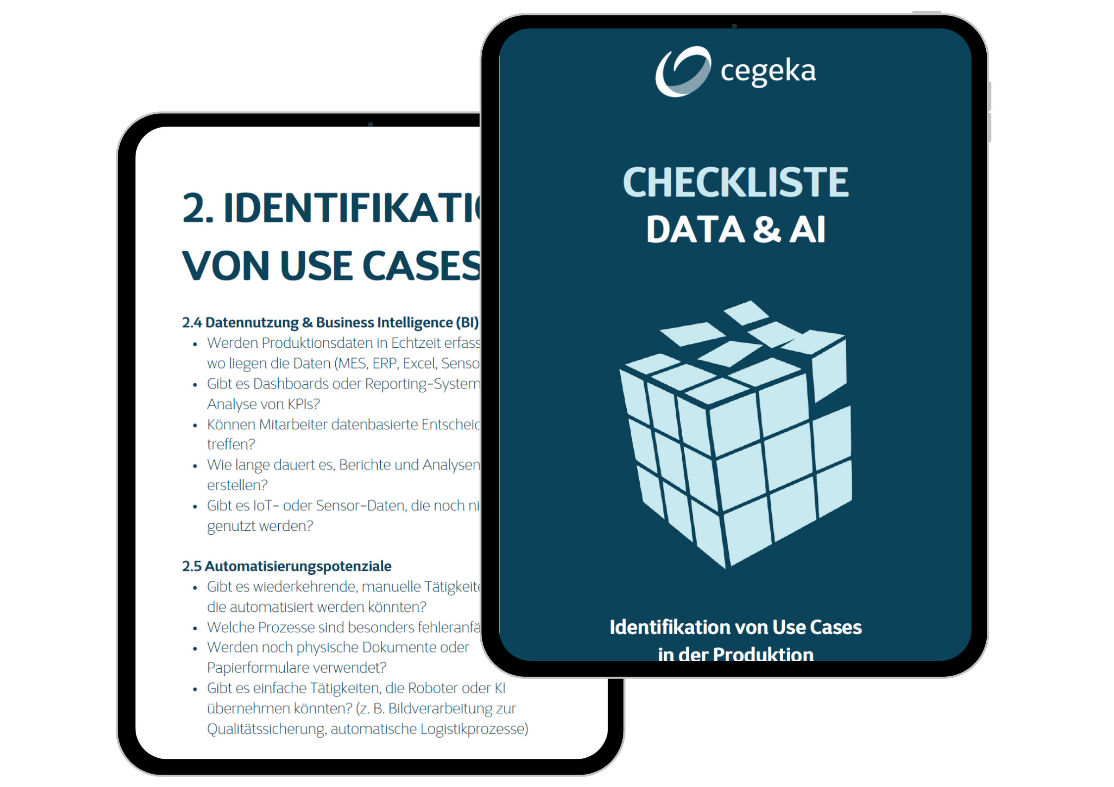 Checkliste Data & AI_Cegeka Austria