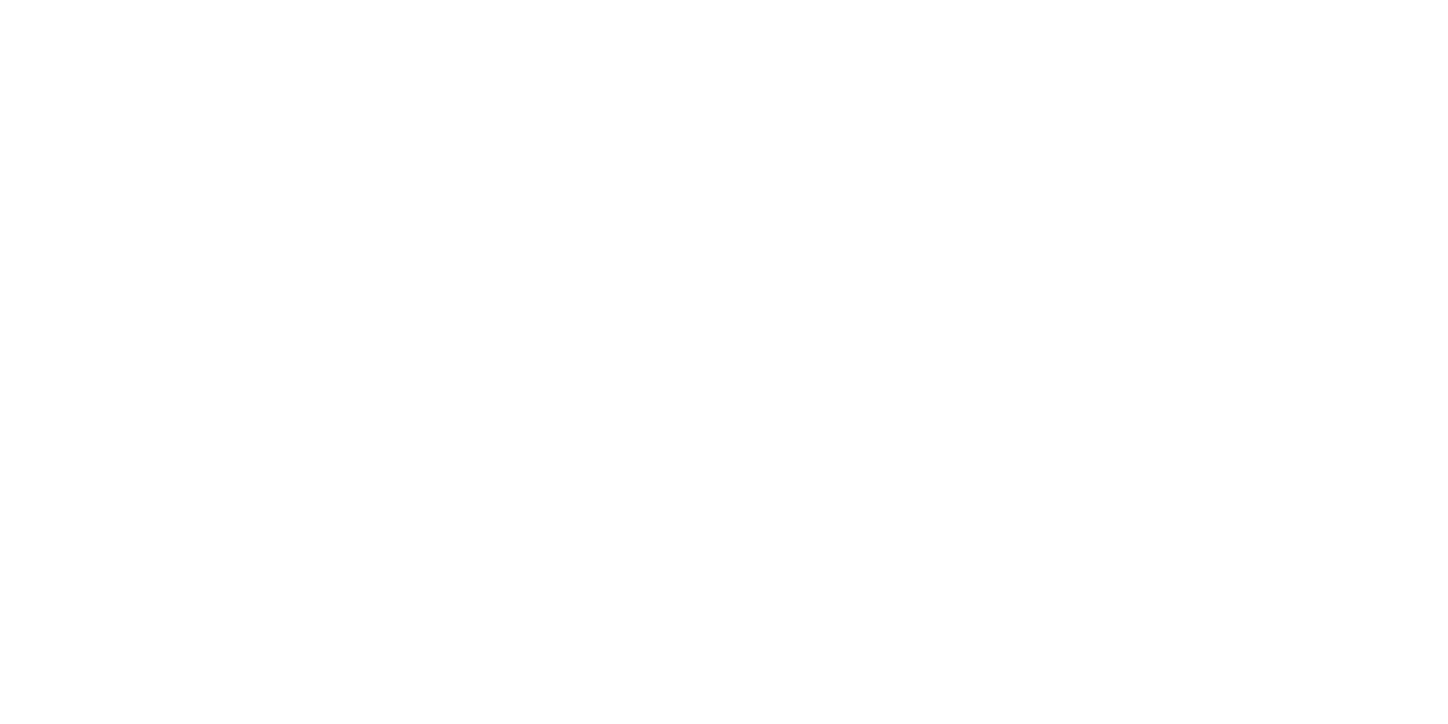 Eurofiber_transparant_logo_Tekengebied 1