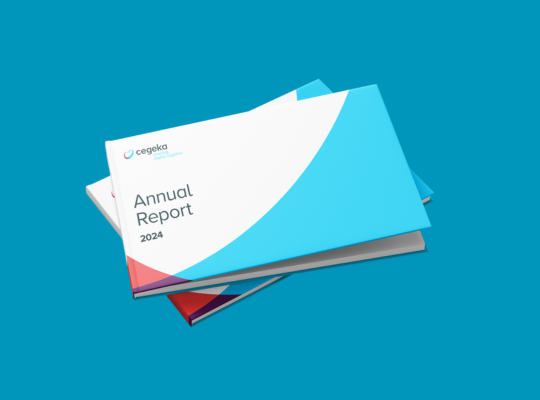 Annual-report-540x400