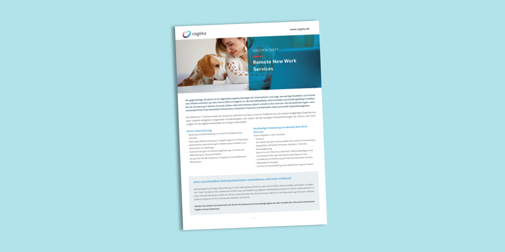 Solutionsheet:<br>Remote New Work Services (PDF)