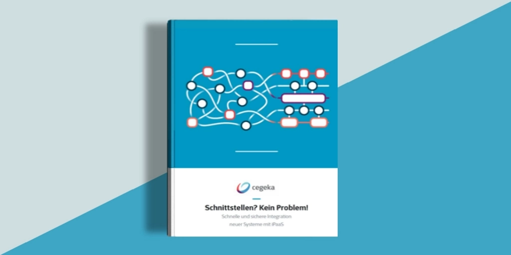 Artikel: Schnelle & sichere Integration mit iPaaS