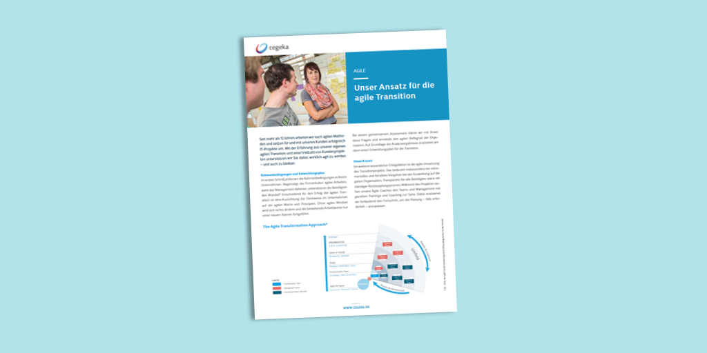 Solutionsheet:<br>Agile Transition (PDF)