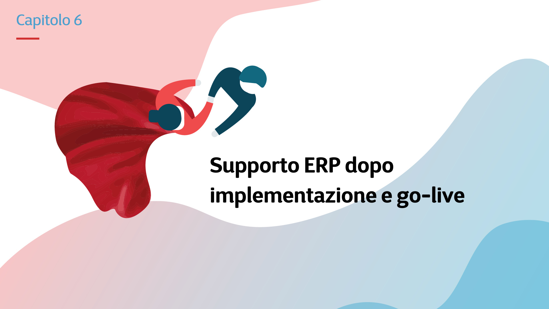 Supporto ERP dopo implementazione e go-live