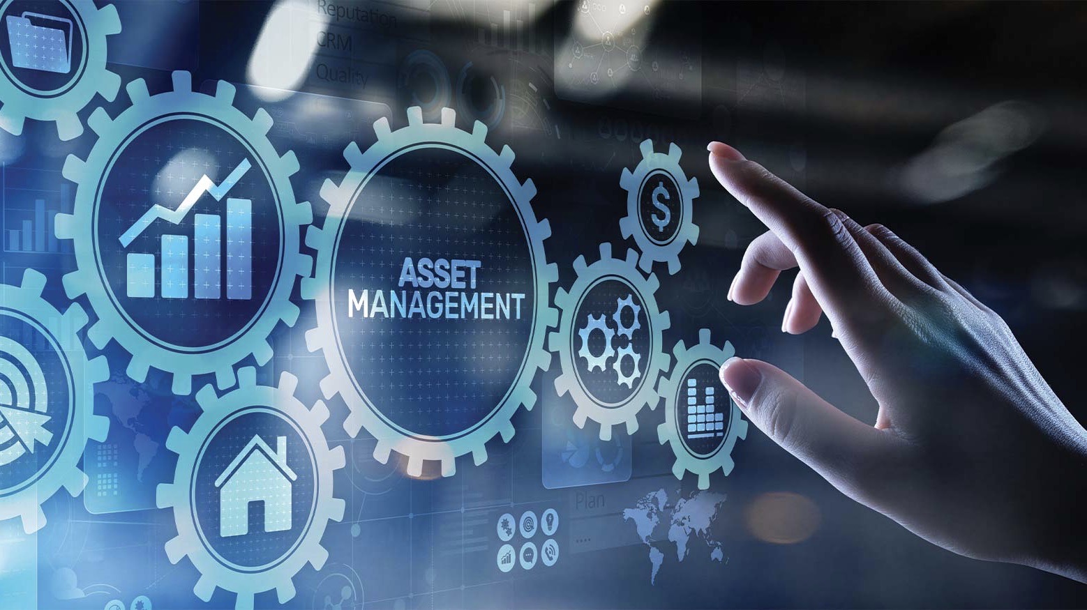 EVOLUZIONE IT: Asset Management