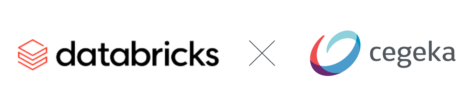 Partnership Databricks-1