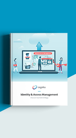 MockUpCover_Cybersecurity_IAM_brochure_EN_260x470px