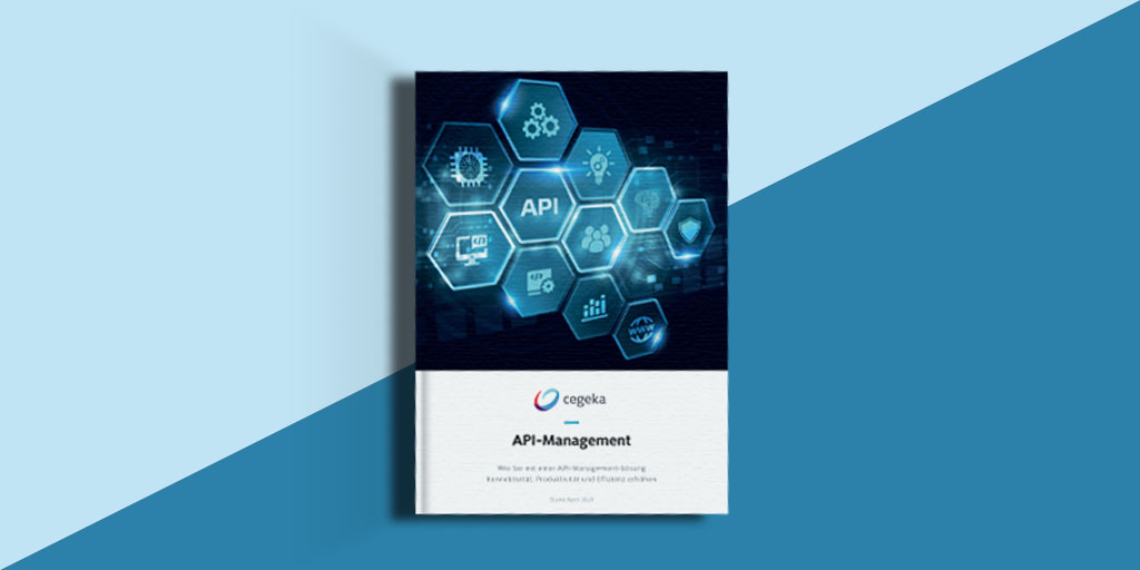 Whitepaper: API-Management