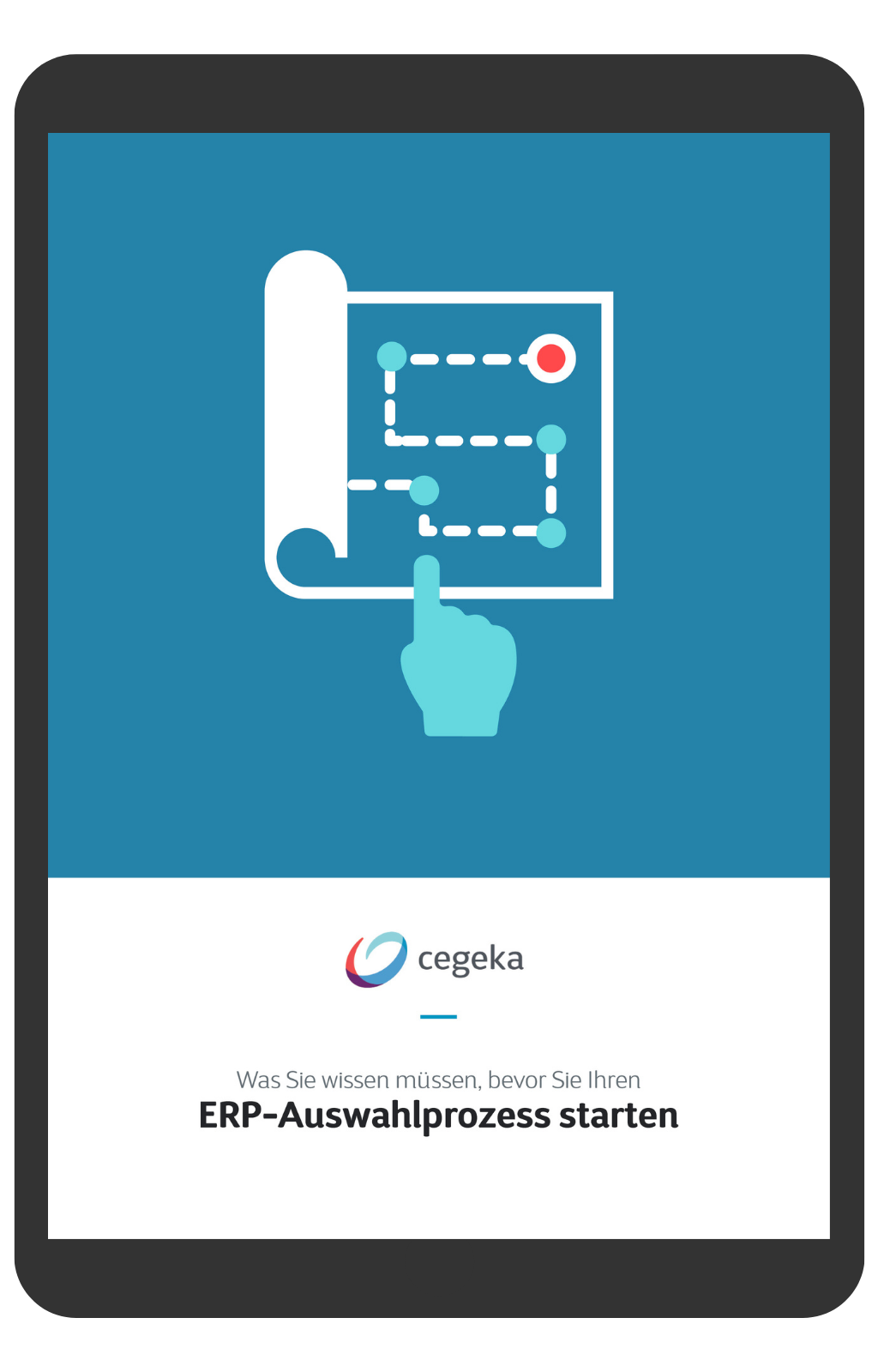 ebook erp cegeka