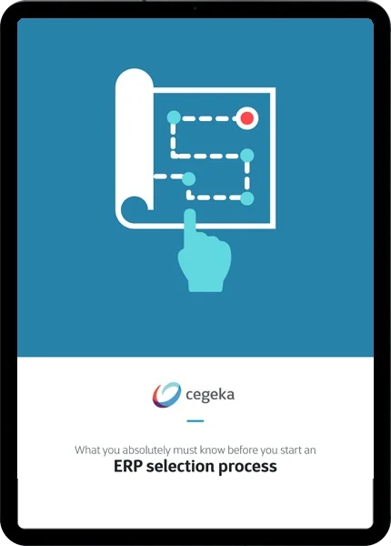 erp-selection-process
