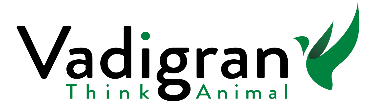 logo-Dec-04-2024-10-48-18-6750-AM